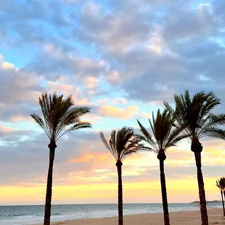 Apartment Piso En 2ª Linea De Playa Trj2c *